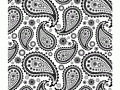 Many elegant paisley design