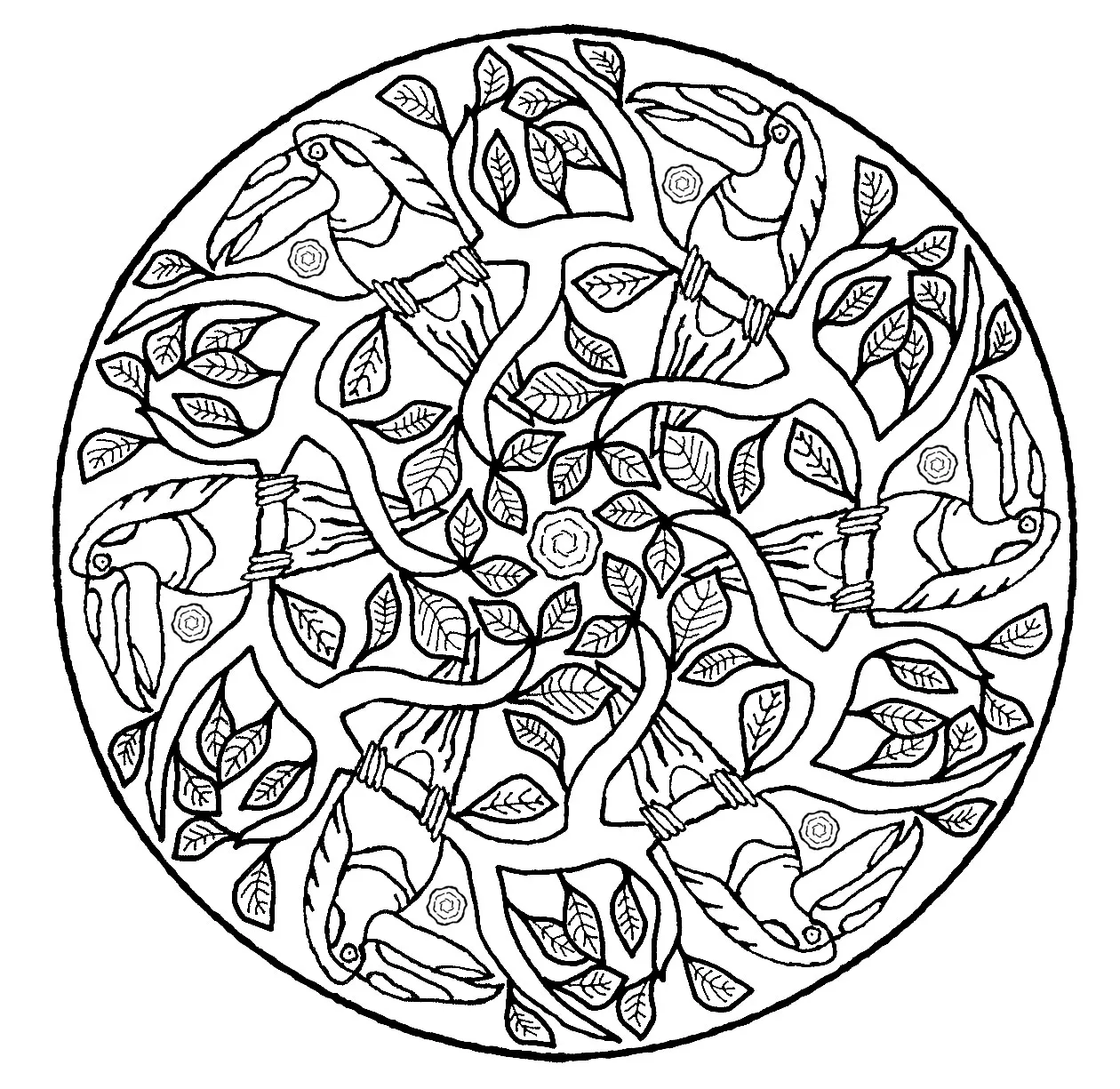 Mandala perroquet (Mandalas temáticas : Animais)