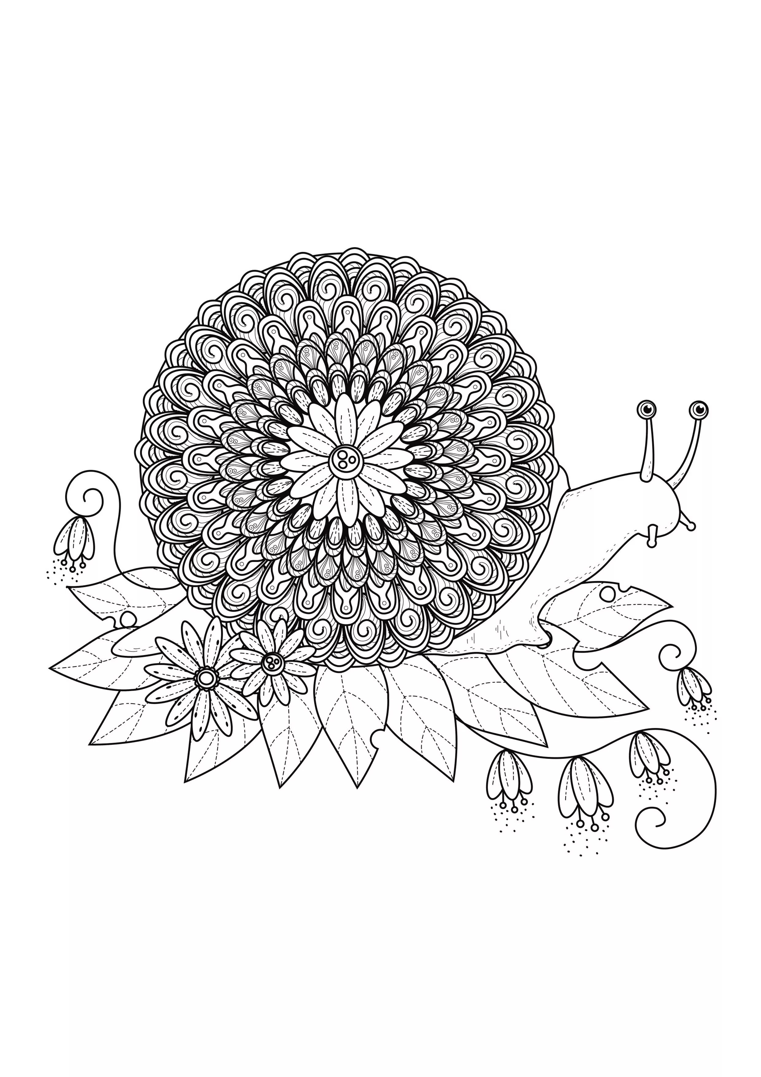 Escargot mandala (Mandalas temáticas : Animais)