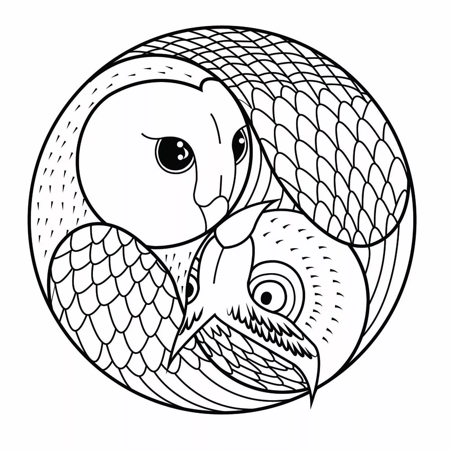Mandala de coruja (Mandalas temáticas : Animais)