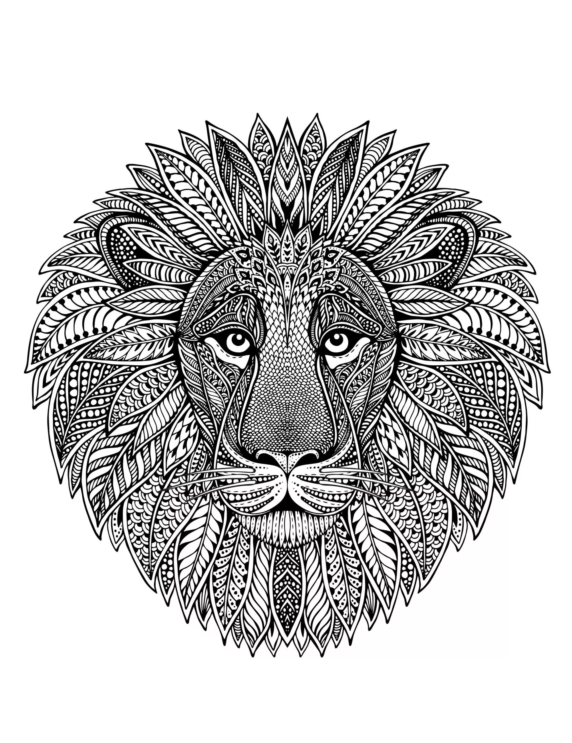 Mandala de cabeça de leão (Mandalas temáticas : Animais)