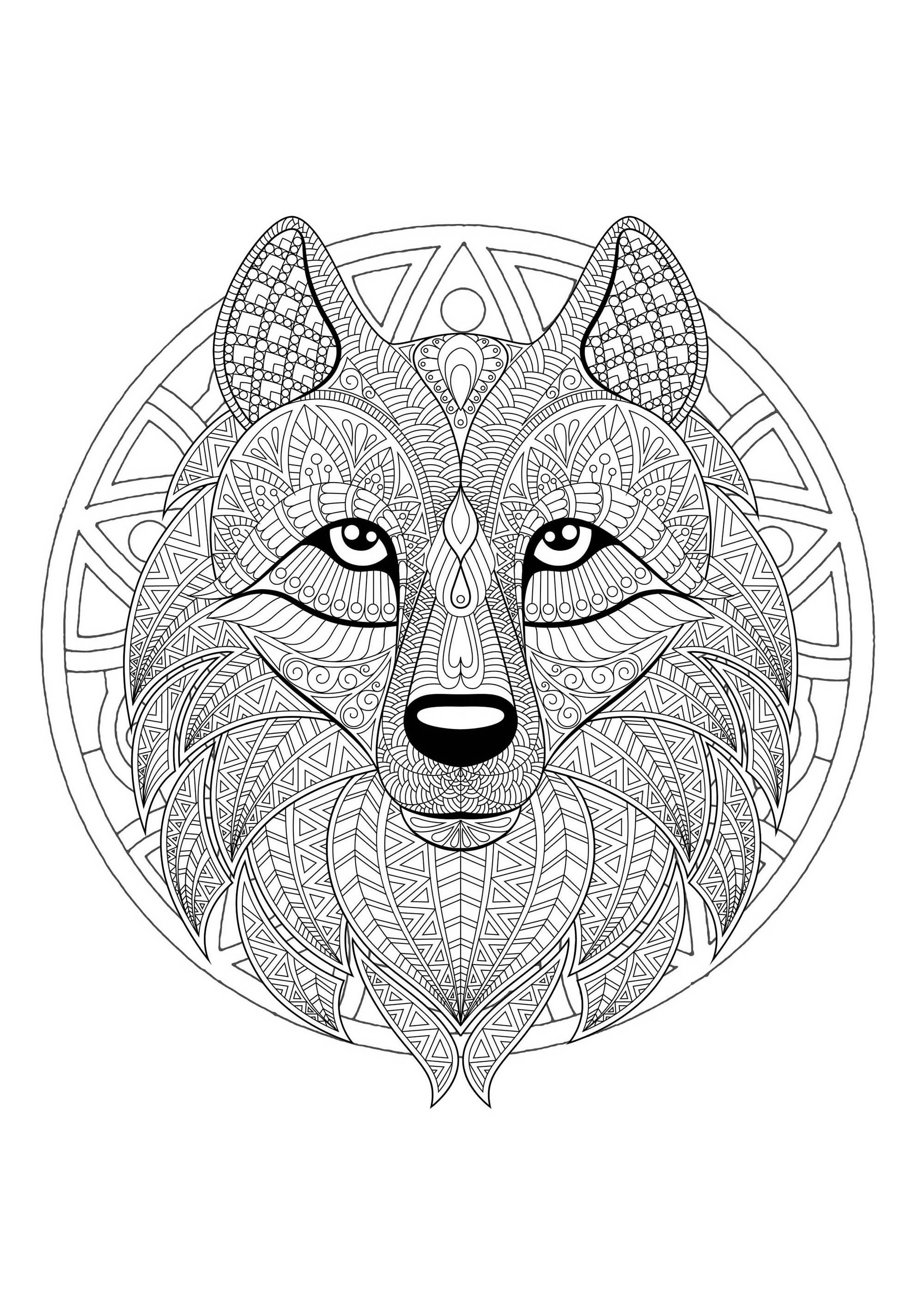 Uma mandala com um bonito lobo, para os que preferem colorir coisas concretas e vivas.