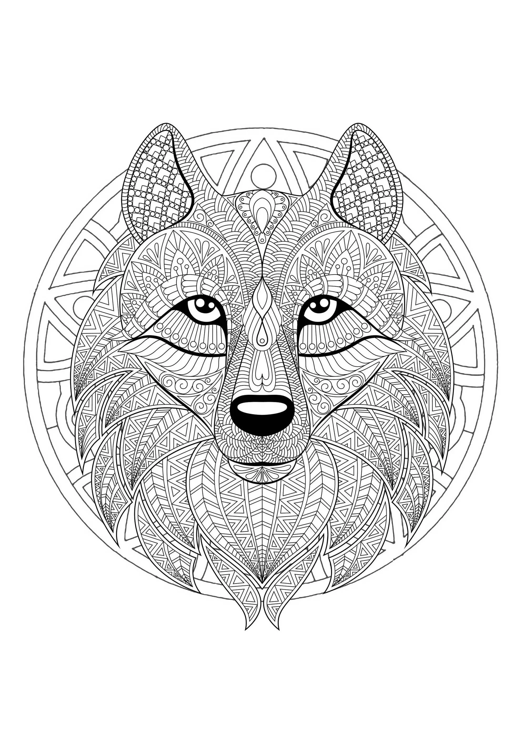 Mandala cabeça de lobo - 2 (Mandalas temáticas : Animais)