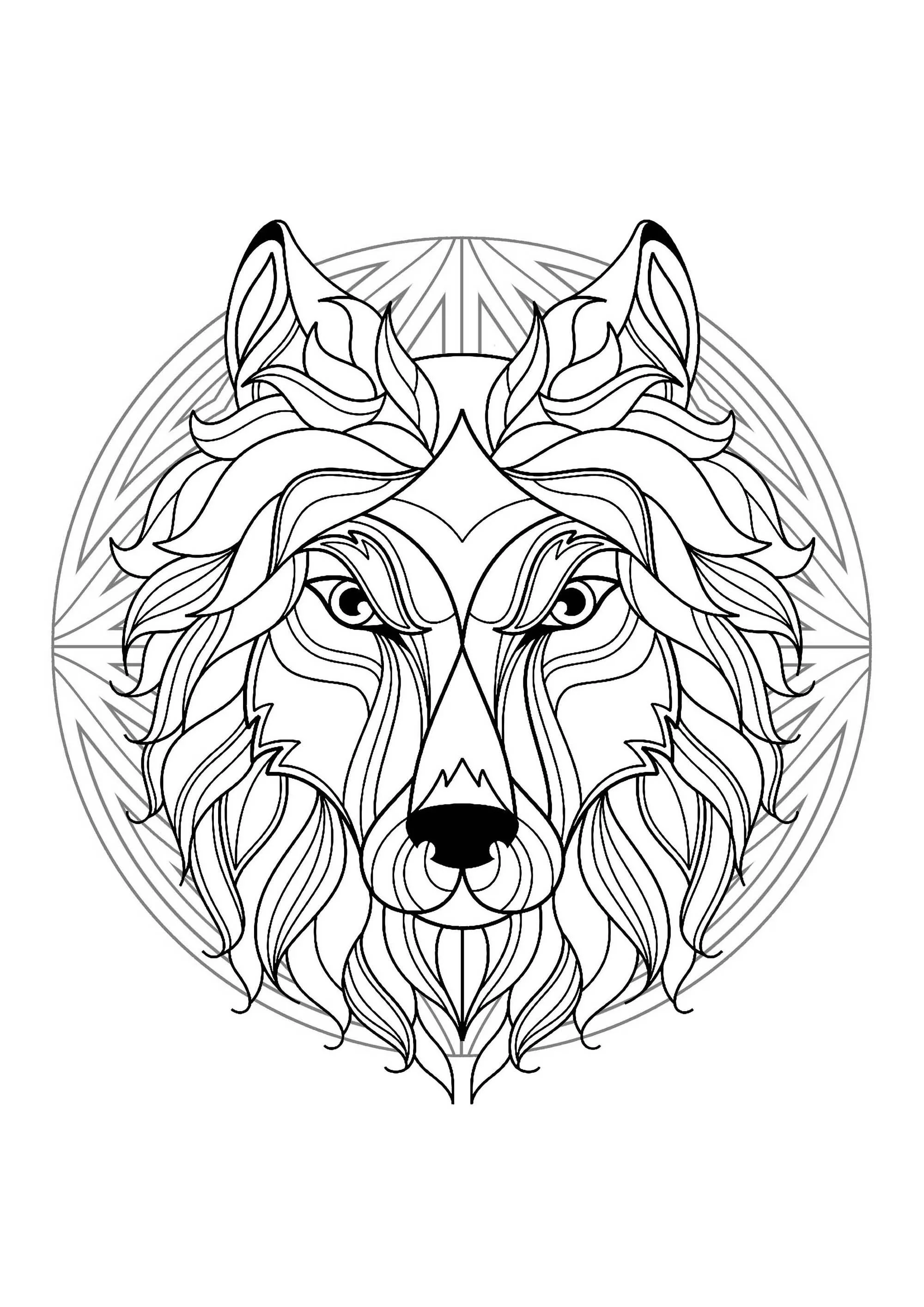 Mandala cabeça de lobo - 1 (Mandalas temáticas : Animais)