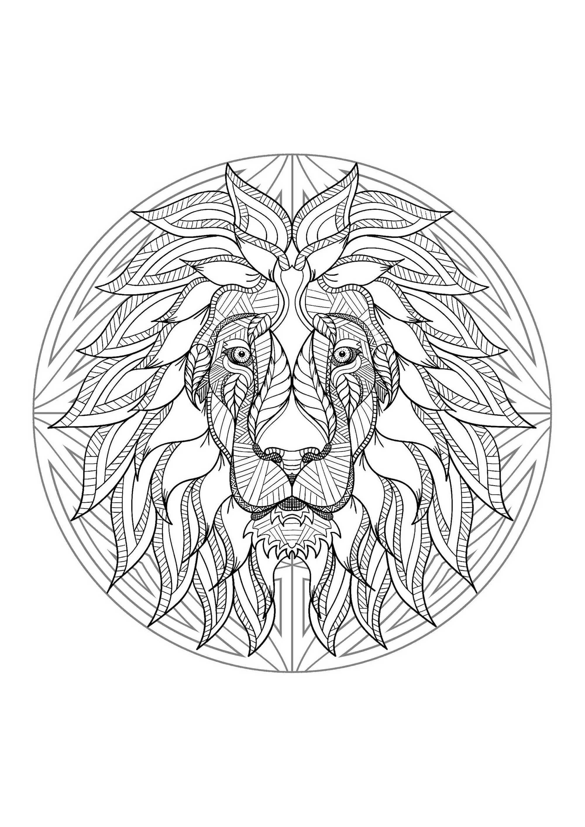 Mandala de cabeça de leão - 4 (Mandalas temáticas : Animais)