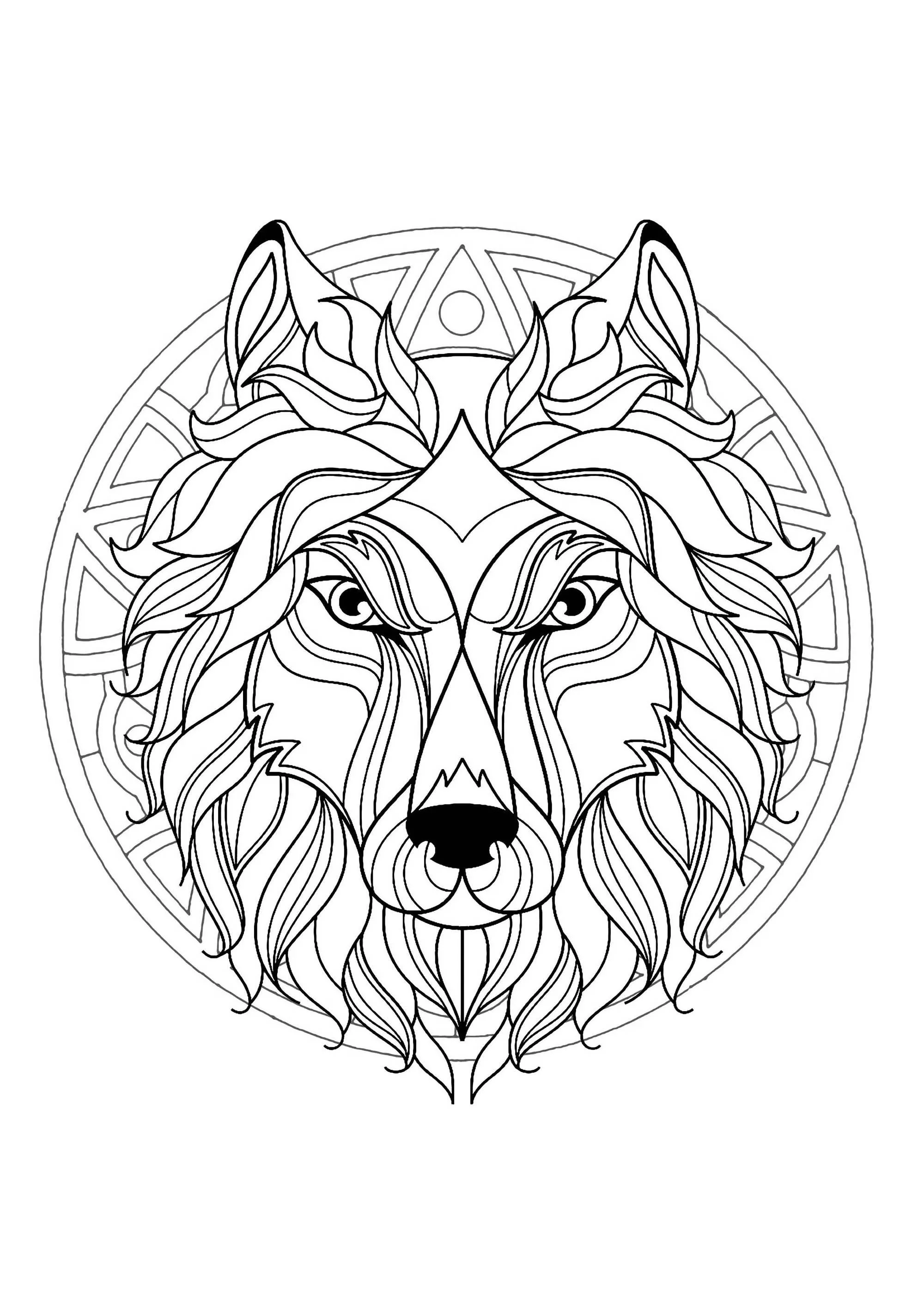 Mandala cabeça de lobo - 3 (Mandalas temáticas : Animais)