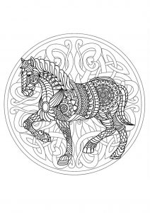Cavalo mandala - 3