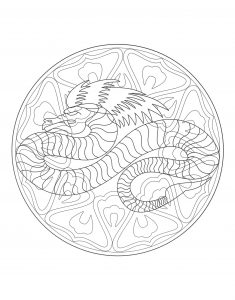 Mandala Dragão   4