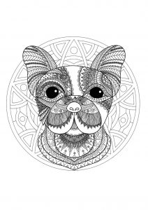 Mandala de cabeça de cão - 1 (Mandalas temáticas : Animais)