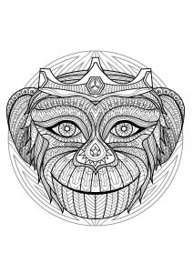 Mandala cabeça de macaco - 2 (Mandalas temáticas : Animais)