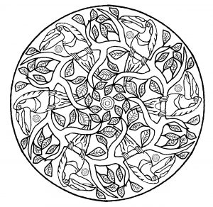 Mandala perroquet (Mandalas temáticas : Animais)