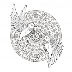 Mandala Das Andorinhas Da Primavera
