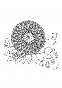 Escargot Mandala