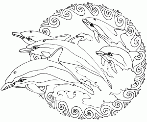 Golfinhos mandala a saltar fora de água (Mandalas temáticas : Animais)