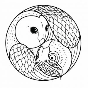 Mandala de coruja (Mandalas temáticas : Animais)