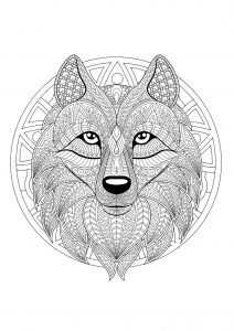 Mandala cabeça de lobo   2