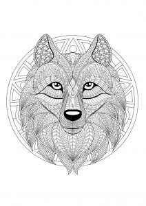 Mandala cabeça de lobo - 2 (Mandalas temáticas : Animais)