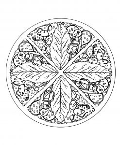 Folhas De Mandala E Formigas