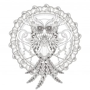 Coruja Bonita Numa Mandala