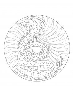 Mandala Dragão   2