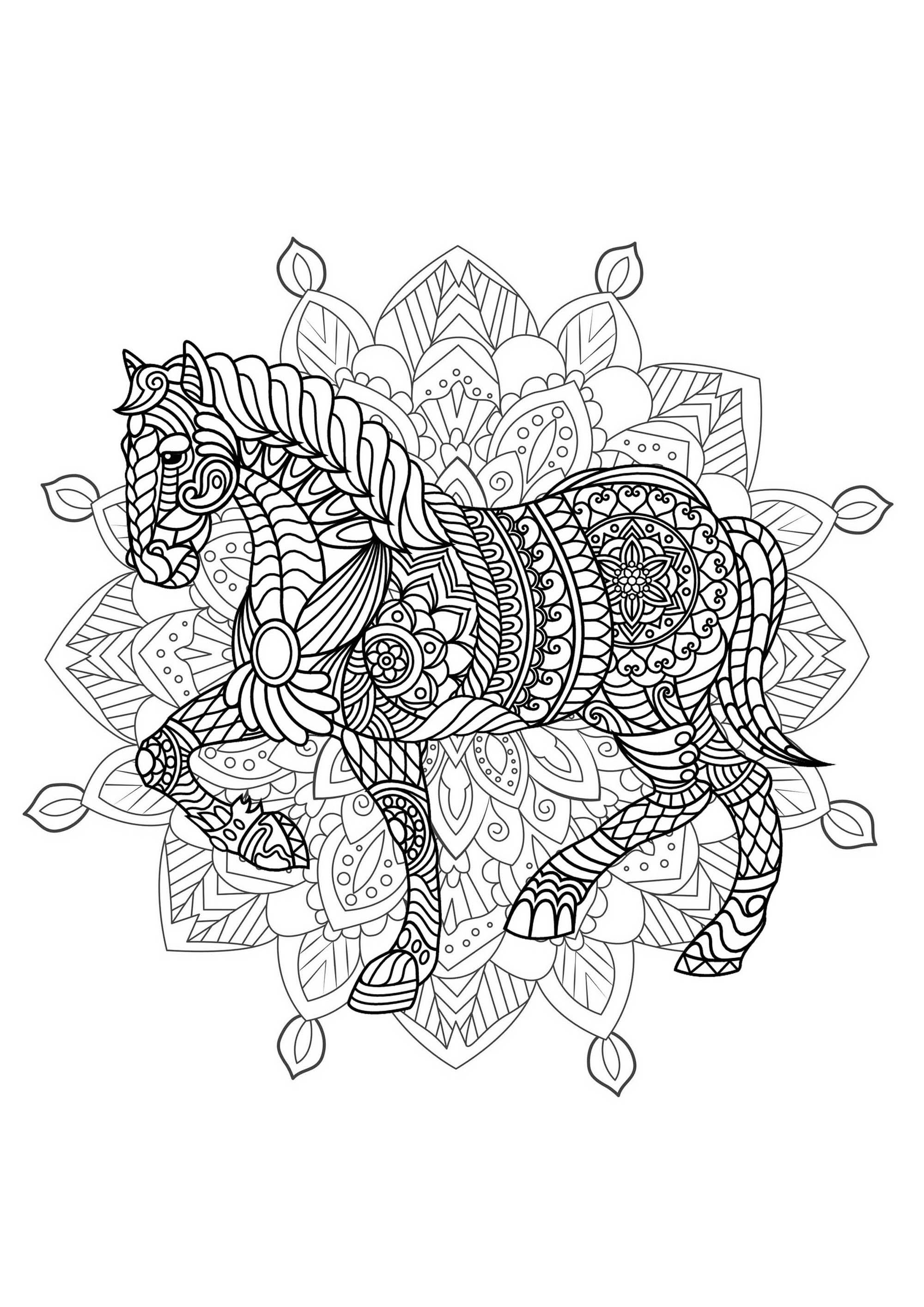 Cavalo e Mandala - Prepare os seus marcadores e lápis para colorir esta Mandala cheia de pequenos pormenores e áreas interligadas.