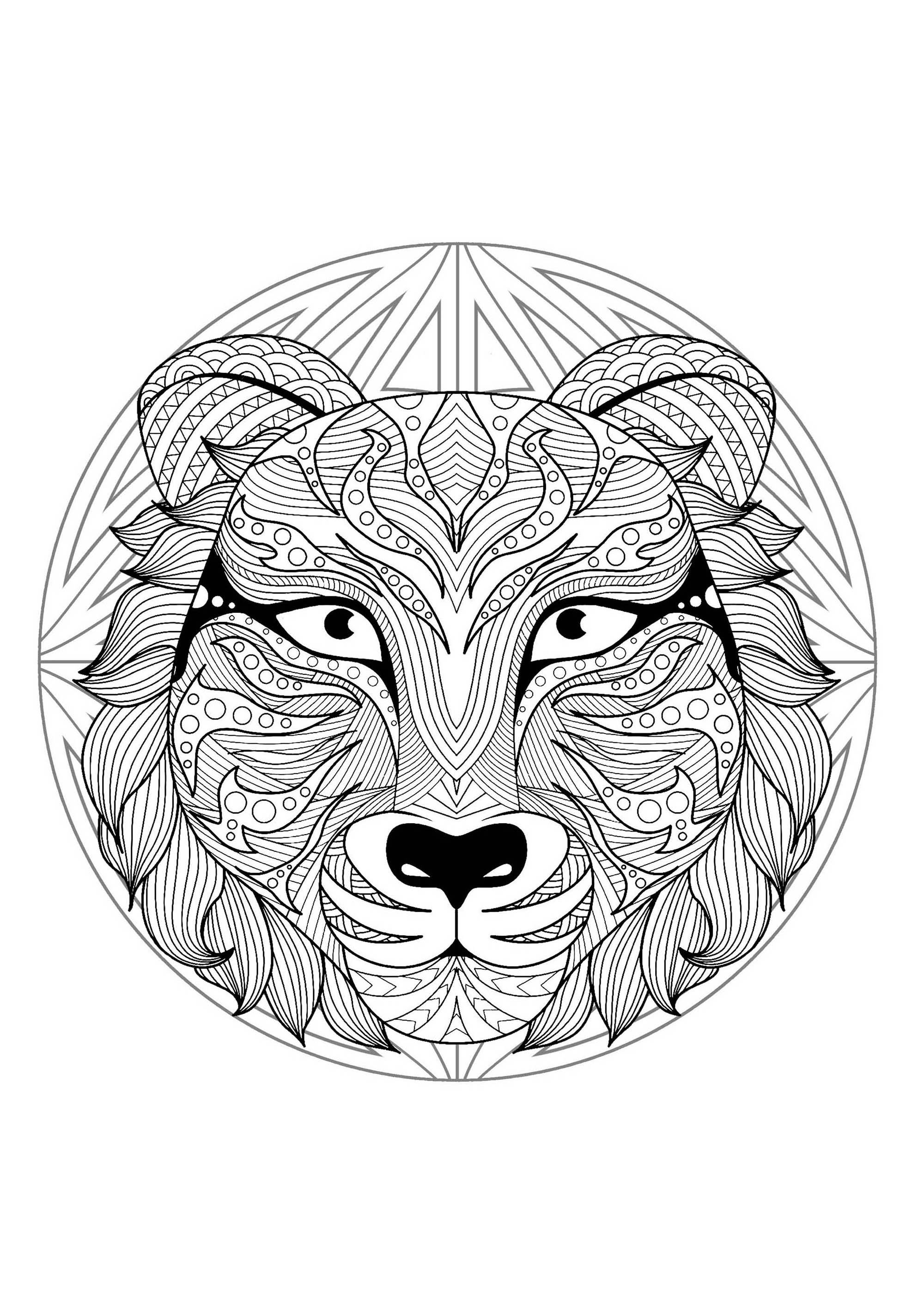 Mandala e cabeça de tigre. Prepare os seus marcadores e lápis para colorir esta Mandala cheia de pequenos pormenores e áreas interligadas.