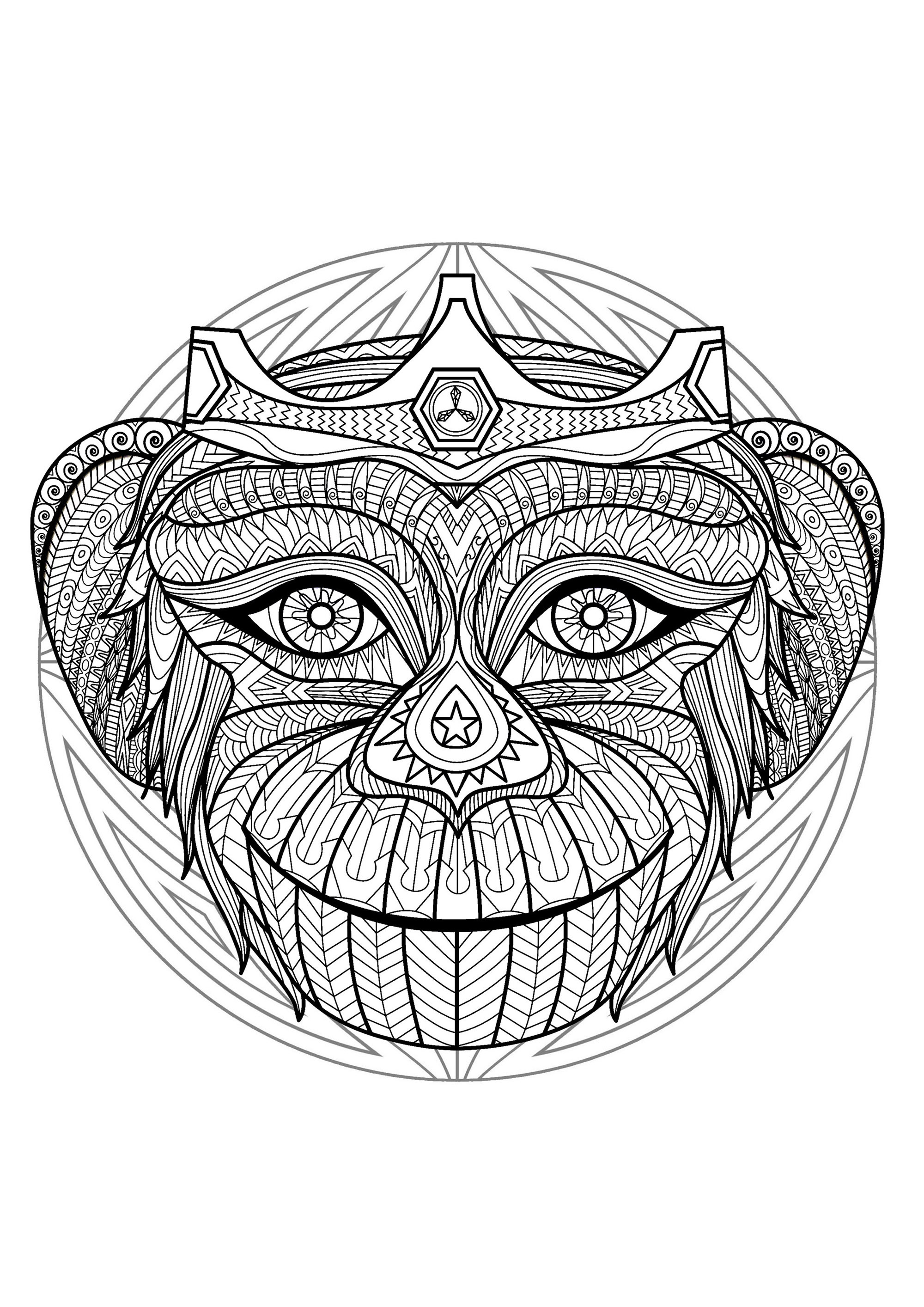 Mandala e cabeça de macaco. Muitos pequenos pormenores e áreas bastante pequenas, para uma Mandala muito original e harmoniosa.