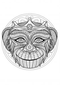 Mandala cabeça de macaco   1