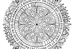 Mandala A Colorir Adulto Difícil  14 