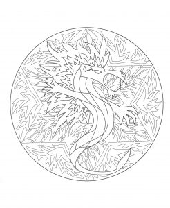 Mandala de dragão bonita