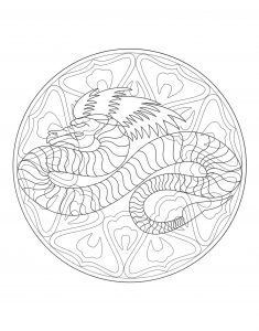 Mandala complexa do dragão chinês