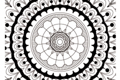 Mandala A Colorista Adulto Difícil  13 
