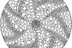 Mandala A Colorir Adulto Difícil  5 