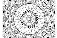 Mandala A Colorista Adulto Difícil  33 