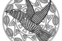 Mandala A Colorista Adulto Difícil  11 