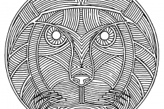 Mandala A Colorir Adulto Difícil  10 