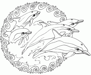 Delfins de mandala (Mandalas de Nível de Dificuldade : Fácil (para crianças))