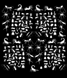 coloração-difícil-preto-e-branco