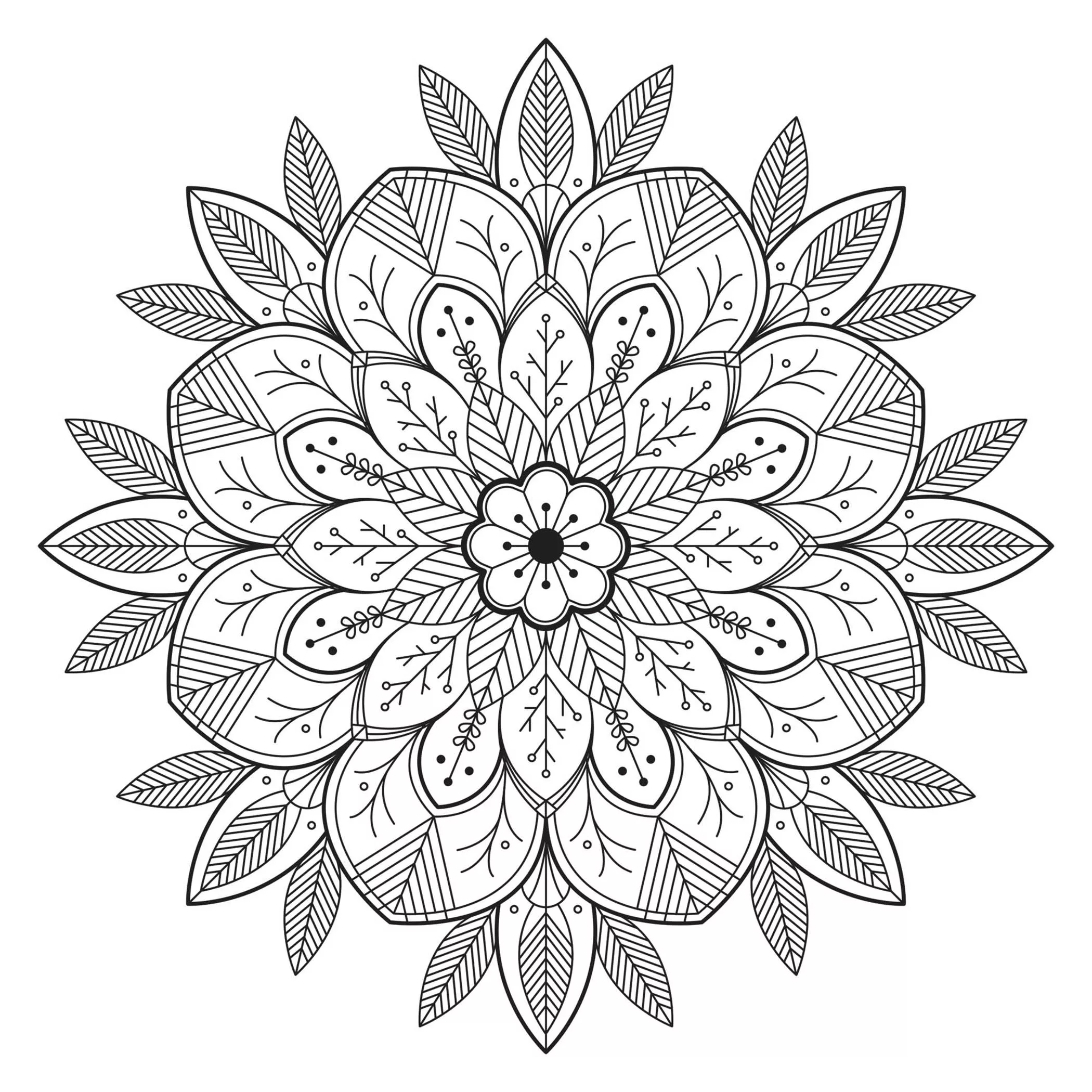 Flor e folhas (Mandalas de Nível de Dificuldade : Normal)