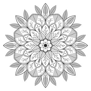 Flor e folhas (Mandalas de Nível de Dificuldade : Normal)