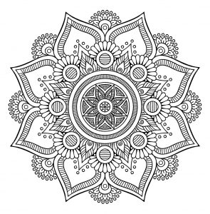 Flores e pétalas