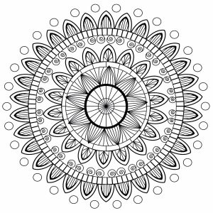Mandala Com Pétalas Abstractas