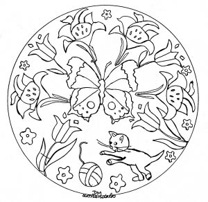 Mandala De Flores E Borboletas
