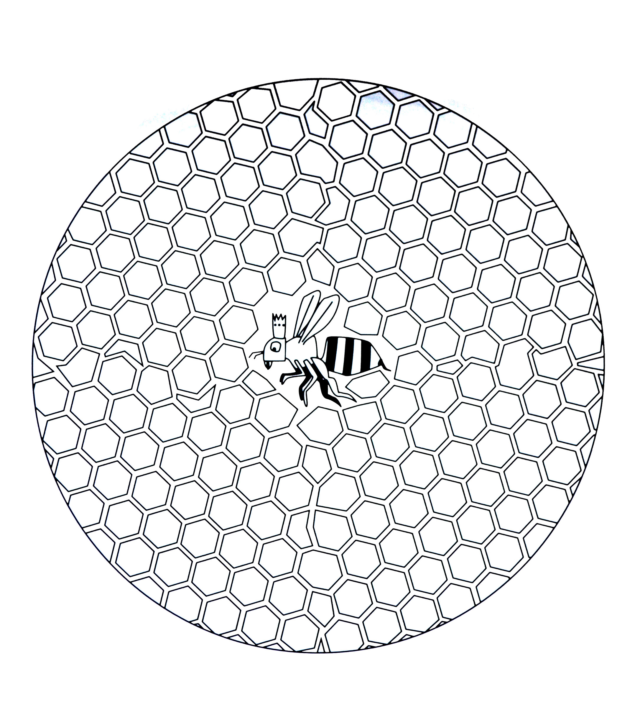Mandala com padrões geométricos - 10 - Imagem com :Abelha