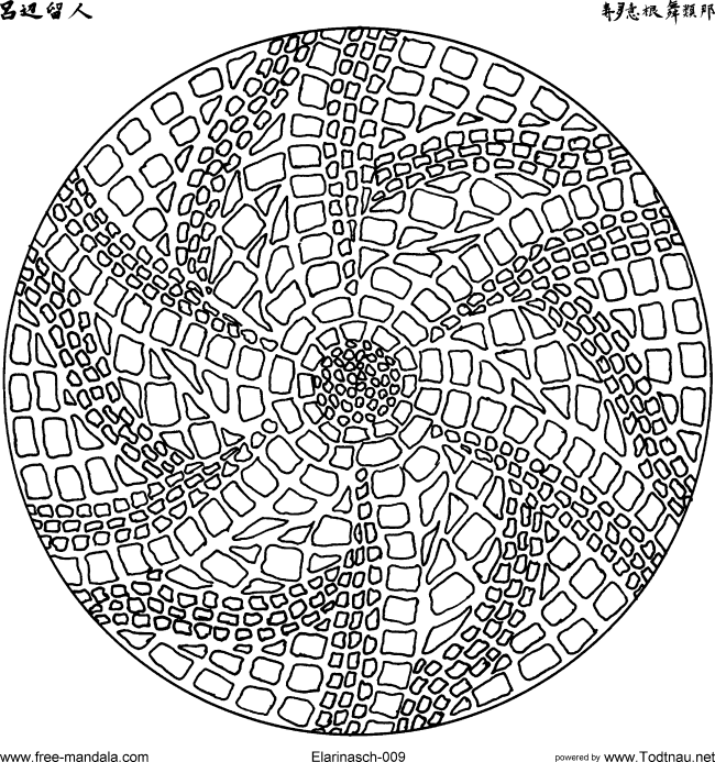 Mandala com padrões geométricos - 1