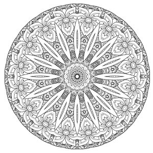 Mandala de alta qualidade