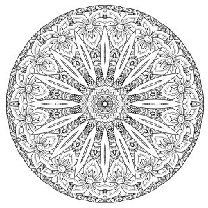 Mandala de alta qualidade