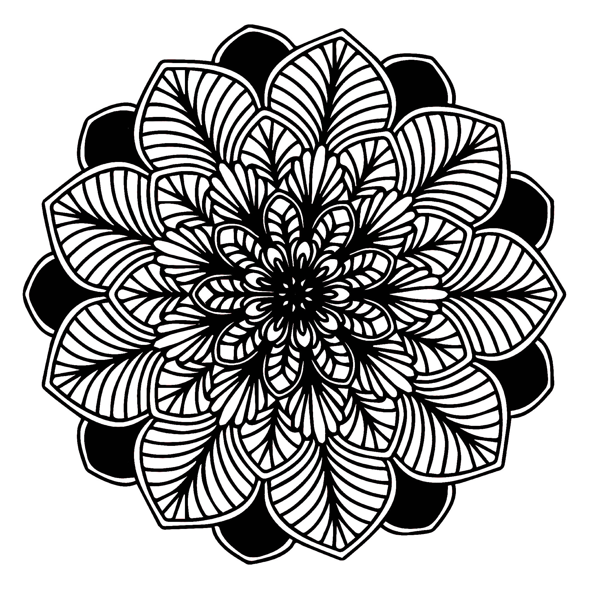 Quando o mundo vegetal é perfeitamente integrado numa Mandala, é isto que se obtém, não é magnífico? É composta por folhas: umas sobre um fundo preto e outras muito realistas, com linhas grossas.