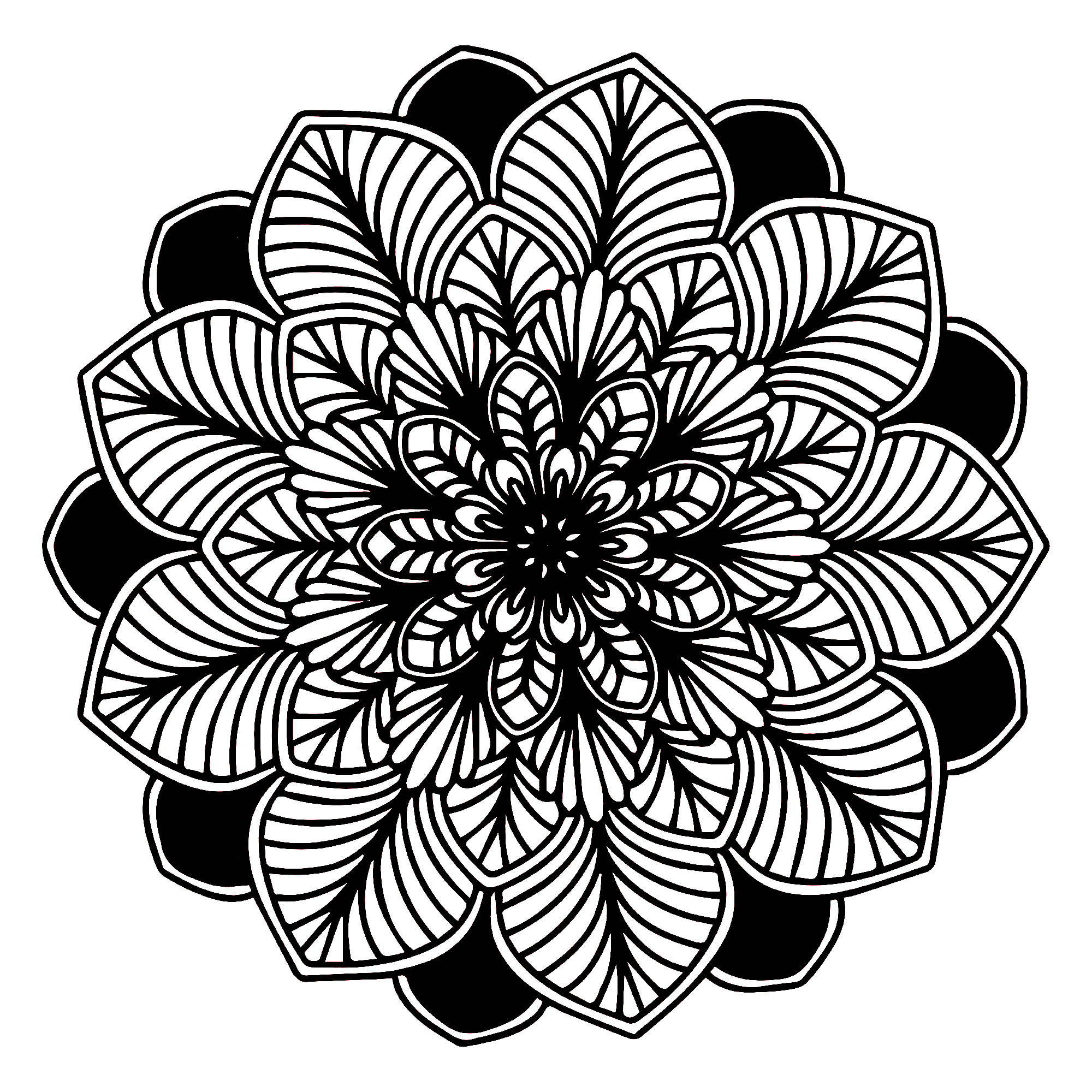 Quando o mundo vegetal é perfeitamente integrado numa Mandala, é isto que se obtém, não é magnífico? É composta por folhas: umas sobre um fundo preto e outras muito realistas, com linhas grossas. Quando o mundo vegetal é perfeitamente integrado numa Mandala, é isto que se obtém, não é magnífico? É composta por folhas: umas sobre um fundo preto e outras muito realistas, com linhas grossas.