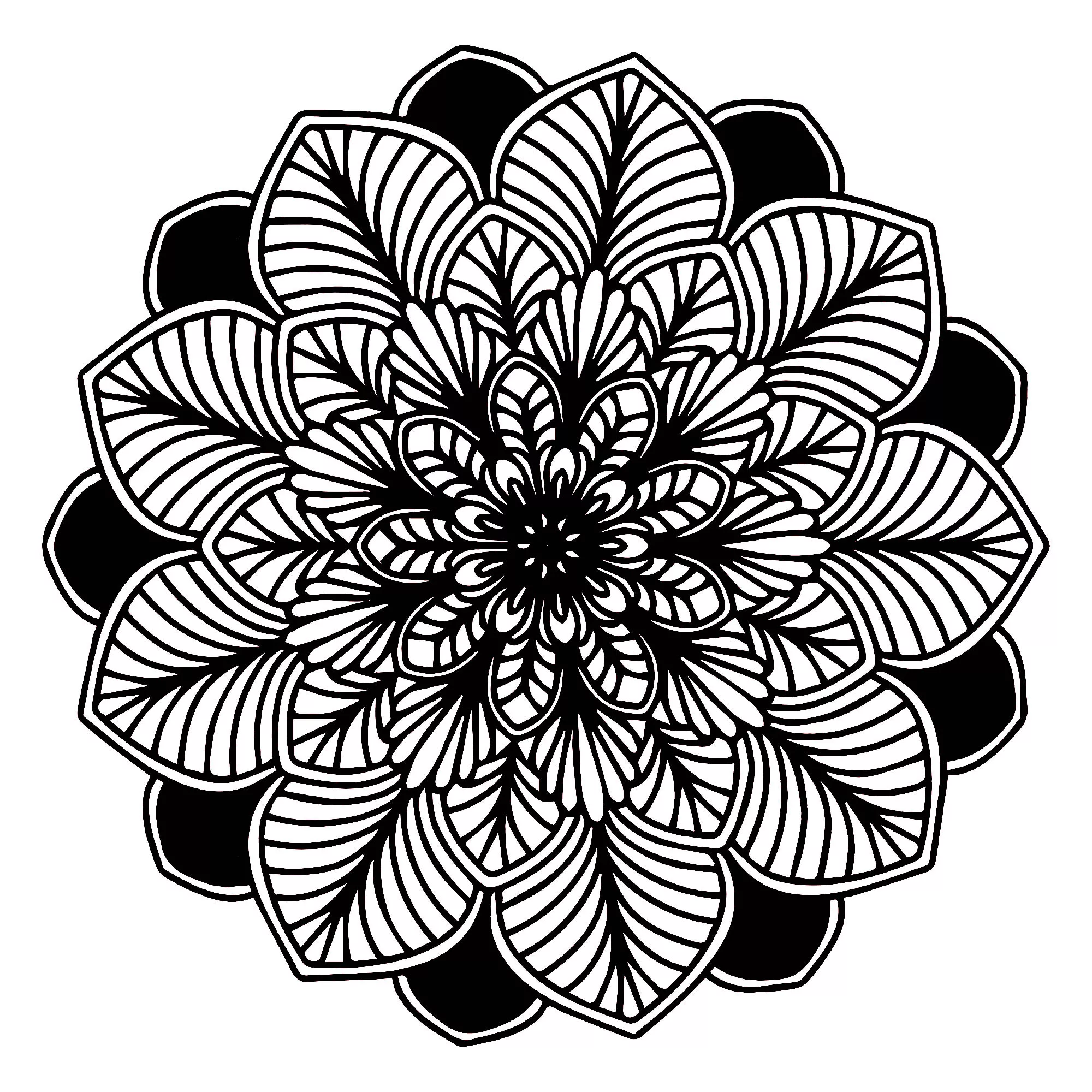 Mandala de folhas a preto e branco (Mandalas temáticas : Flores e vegetação)